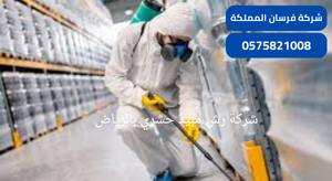 شركة رش مبيد حشري بالرياض