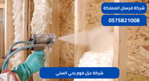 شركة عزل فوم بحي السلي