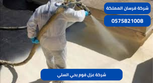 شركة عزل فوم بحي السلي