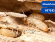 رش دفان ومكافحة النمل الأبيض-شركة فرسان المملكة بالرياض| 0575821008