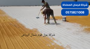 شركة عزل فوم شمال الرياض
