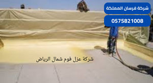 شركة عزل فوم شمال الرياض