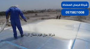 شركة عزل فوم شمال الرياض