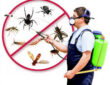 شركة مكافحة حشرات الرياض0575821008