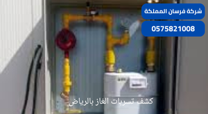 كشف تسربات الغاز بالرياض