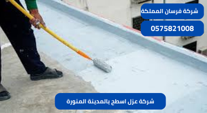 شركة عزل اسطح بالمدينة المنورة