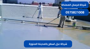 شركة عزل اسطح بالمدينة المنورة