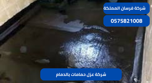 شركة عزل حمامات بالدمام