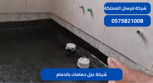 شركة عزل حمامات بالدمام