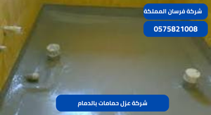 شركة عزل حمامات بالدمام