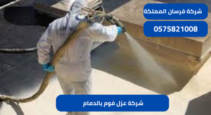 شركة عزل فوم بالدمام 