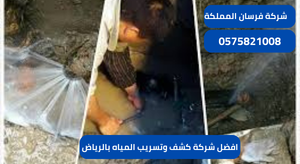 افضل شركة كشف وتسريب المياه بالرياض