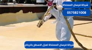 شركة فرسان المملكة لعزل الاسطح بالرياض