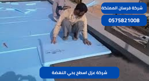 شركة عزل اسطح بحي النهضة