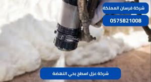 شركة عزل اسطح بحي النهضة