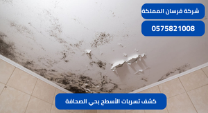 كشف تسربات الأسطح بحي الصحافة
