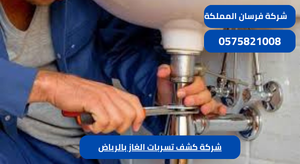 شركة كشف تسربات الغاز بالرياض