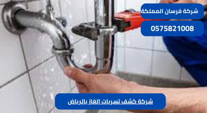 شركة كشف تسربات الغاز بالرياض