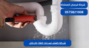 شركة كشف تسربات الغاز بالرياض