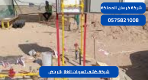 شركة كشف تسربات الغاز بالرياض