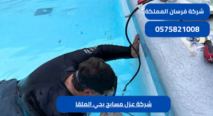 شركة عزل مسابح بحي الملقا
