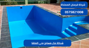 شركة عزل مسابح بحي الملقا