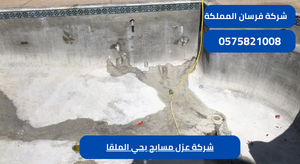 شركة عزل مسابح بحي الملقا
