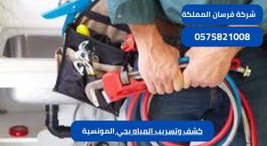 كشف وتسريب المياه بحي المونسية