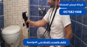 كشف وتسريب المياه بحي المونسية