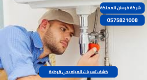 كشف تسربات المياه بحي قرطبة