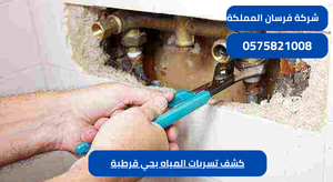 كشف تسربات المياه بحي قرطبة