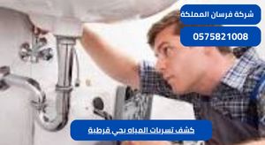 كشف تسربات المياه بحي قرطبة