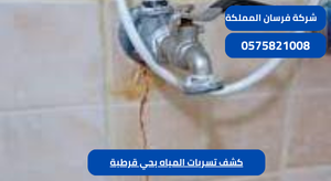 كشف تسربات المياه بحي قرطبة