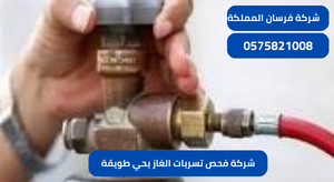 شركة فحص تسربات الغاز بحي طويقة