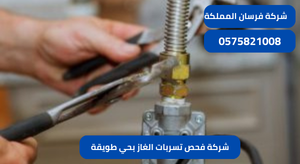 شركة فحص تسربات الغاز بحي طويقة