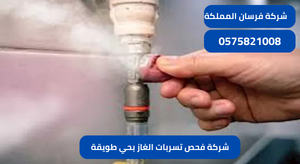 شركة فحص تسربات الغاز بحي طويقة