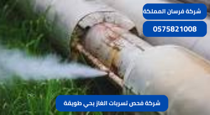 شركة فحص تسربات الغاز بحي طويقة