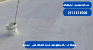 شركة عزل الاسطح من مياه الامطار بحي السلام