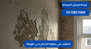 الكشف علي رطوبة الجدران بحي طويقة