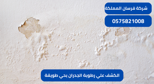 الكشف علي رطوبة الجدران بحي طويقة