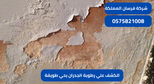 الكشف علي رطوبة الجدران بحي طويقة