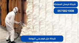 شركة عزل فوم بحي الروضة