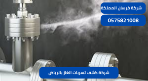 شركة كشف تسربات الغاز بالرياض