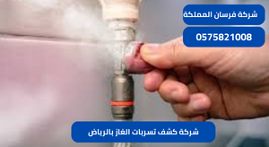 شركة كشف تسربات الغاز بالرياض