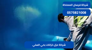 شركة عزل خزانات بحي السلي