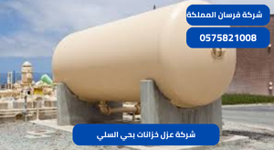 شركة عزل خزانات بحي السلي
