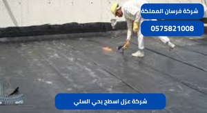 شركة عزل اسطح بحي السلي