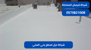شركة عزل اسطح بحي السلي