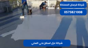 شركة عزل اسطح بحي السلي