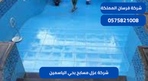 شركة عزل مسابح بحي الياسمين